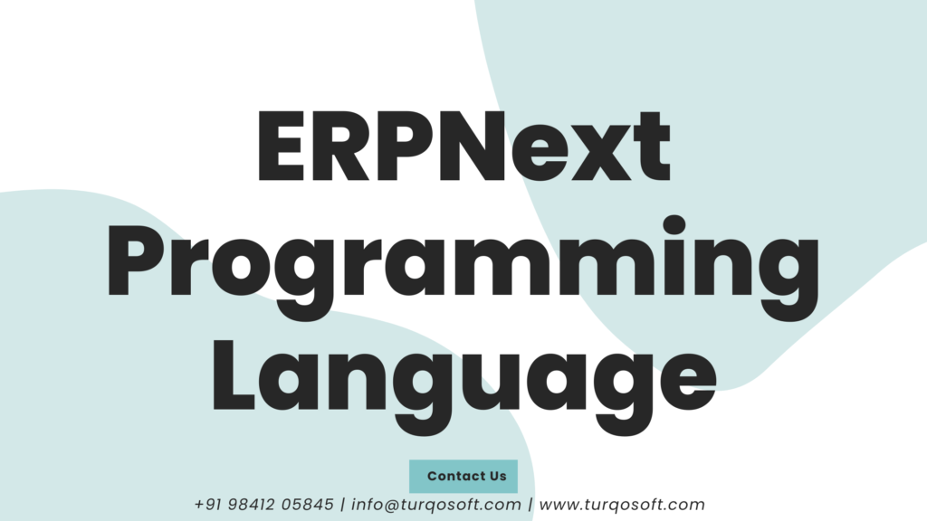 ERPNext Programming Language