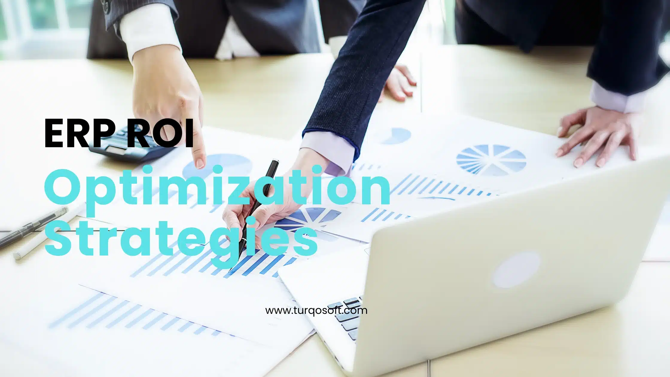 ERP ROI Optimization Strategies