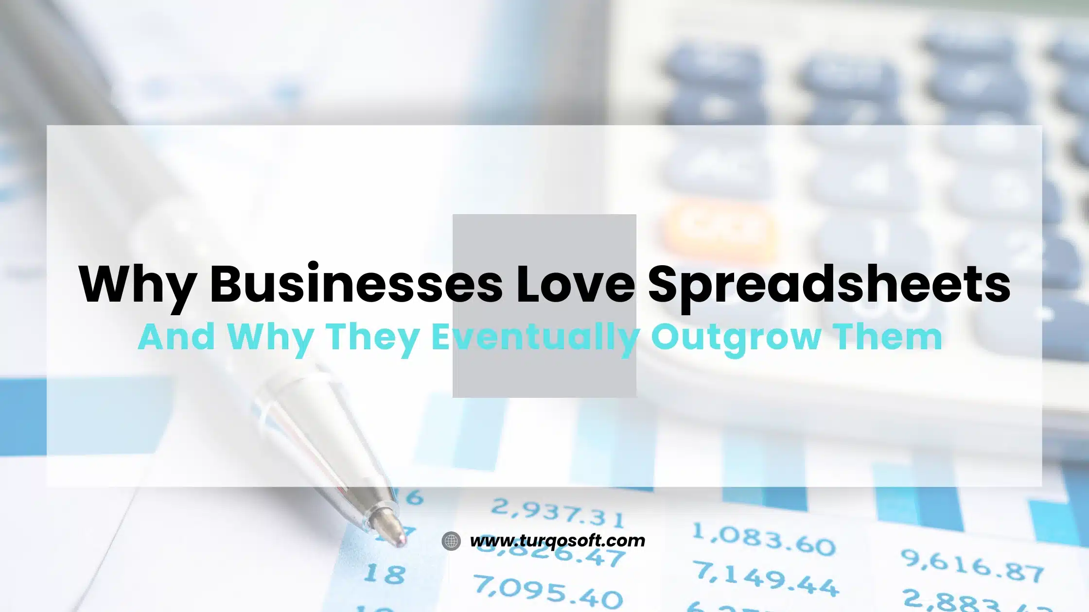 Spreadsheet vs ERP