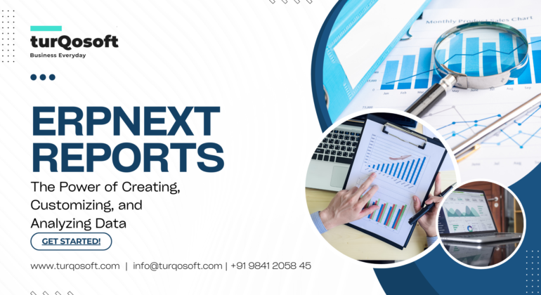 ERPNext Reports
