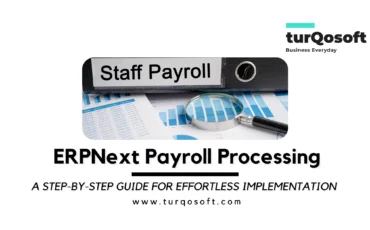 ERPNext Payroll Processing