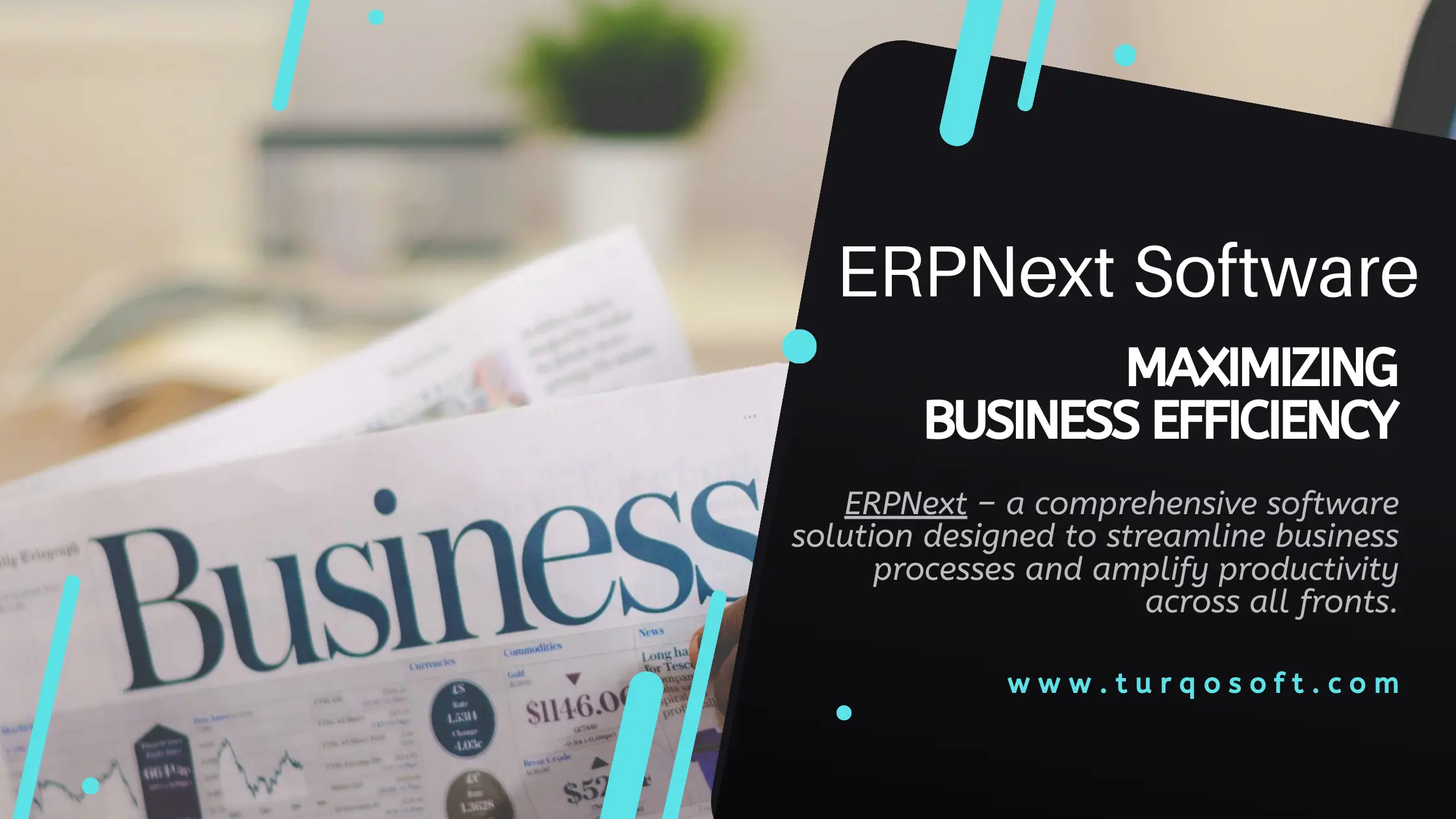 ERPNext Software: Maximizing Business Efficiency - Turqosoft