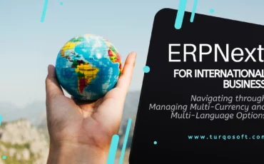 ERPNext for International Business - Navigating through Managing Multi-Currency and Multi-Language Options