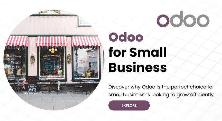 Odoo for Small Business