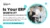 Is Your ERP Worth It? How to Accurately Calculate Its ROI